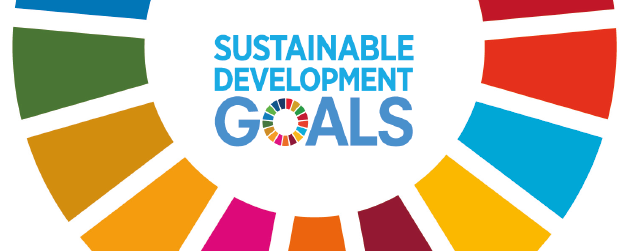 PIE Seminar SDGs in Capacity Building: making it real 13 June 2019